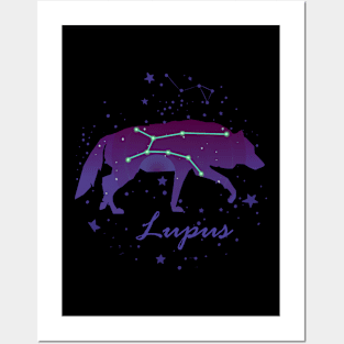 Lupus Constellation Posters and Art